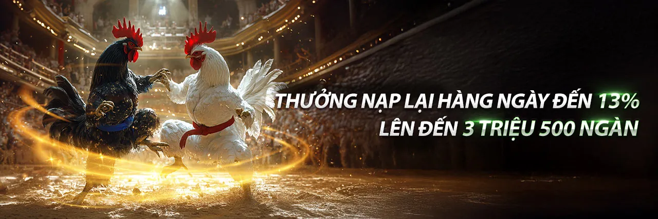 Đấu trường đá gà trực tuyến sôi động tại vin77 win